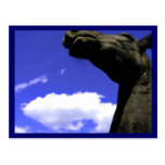 Goofy Animal Postcards, Customizable