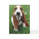 Goofy Basset Hound Greeting Card by robinkrzyzak78 Goofy Basset Hound Greeting Card