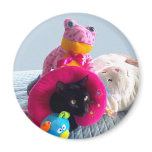 Goofy black cat hiding in stuffed toys. magnets