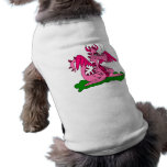 Goofy Dragon Cute Dog Clothes