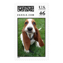 Goofy Face Basset Hound Stamp