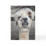 Goofy Llama Greeting Card