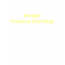 Google "Factory Farming" t-shirts