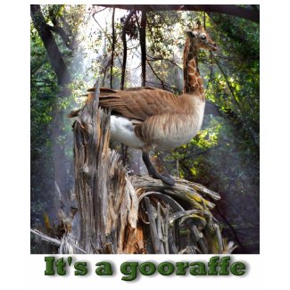 GOORAFFE shirt