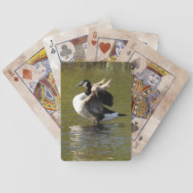 Goose