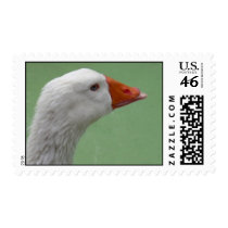 goose1 postage
