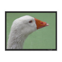 goose1 postcards by YetiGirl goose1 postcards