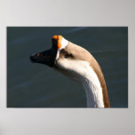 Goose 2 Print