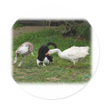 Goose and Cat and Dog 9P31D-67 stickers