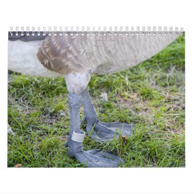 goose calendar goose calendar