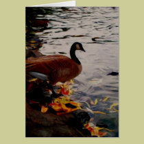 Goose cards