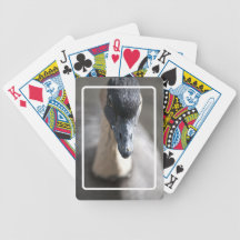 Goose Card Deck