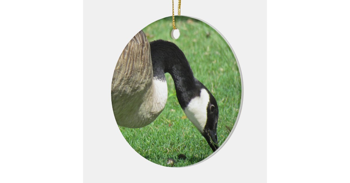 goose christmas ornament zazzle goose christmas ornament zazzle