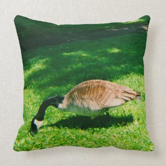 Goose Eating in the Park 1 Pillow