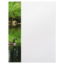 Goose Floating on Pond Letterhead Template
