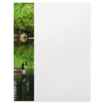 Goose Floating on Pond Letterhead Template