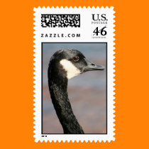 Goose Head postage