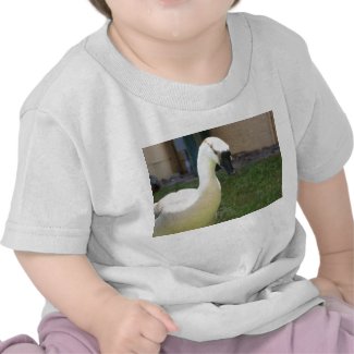 Goose Infant T-shirt