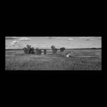 Goose Lake Prairie posters