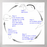 goose-lifecycle-2011 posters