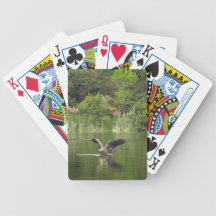 Goose on Lake Ralphine Card Decks