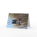 Goose on Pond cards