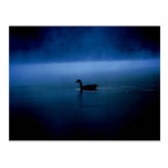 Goose on Pond Postcard