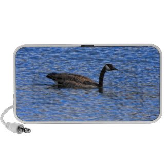 GOOSE ON THE LAKE doodle