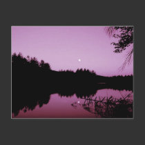 Goose Pond in the evening postcards