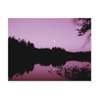 Goose Pond in the evening Post Card by dduhaime55