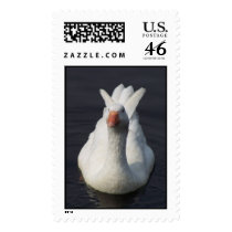 Goose postage by psalms3115 Goose postage
