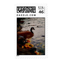 Goose postage