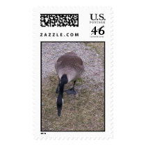 goose postage by Lkat20 goose postage