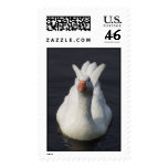 Goose Postage Stamps