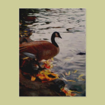Goose postcards