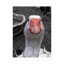 Goose posters by twistedbrunet Goose posters