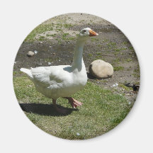goose refrigerator magnet