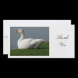 Goose - Thank You photo cards