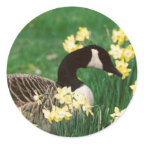 GOOSE WITH DAFFODILS stickers