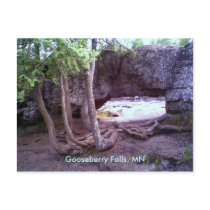 Gooseberry Falls, MN postcard