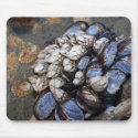 Goosenecks and Mussels mousepads