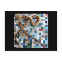 Gopher Snake Wonder Valley postcards