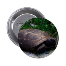 Gopher Tortoise Button