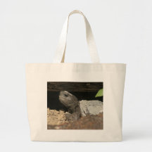 Gopher Tortoise On The Lookout Canvas Bags