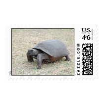 Gopher Tortoise Postage Stamp