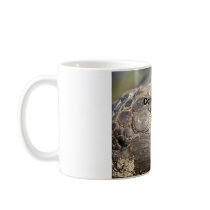 Gopher Turtle, Coffee, Stat! mugs by GroundZeroHero Gopher Turtle, Coffee, Stat! mugs