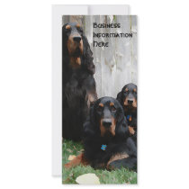 Gordon Setter 2012 Calendar Bookmark Rack Card
