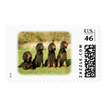 Gordon Setter 9Y105D-080 Stamps