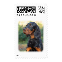 Gordon Setter 9Y109D-021 Postage Stamps
