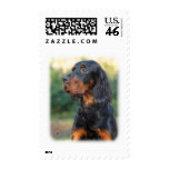 Gordon Setter 9Y109D-021 postage